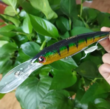 Rapala o Cebo de Pesca 16cm/ 73g Noeby