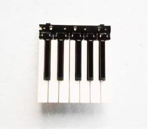 Repuesto de teclas blancas y negras para Yamaha PSR-E203 E213 E223 E233 E303 E323 E333 E403